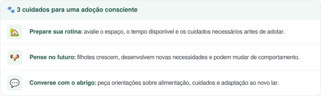 Funcionário olha duas vezes para filhotes recém-chegados ao abrigo e percebe algo tão surpreendente que deixa toda a equipe intrigada com a aparência da ninhada