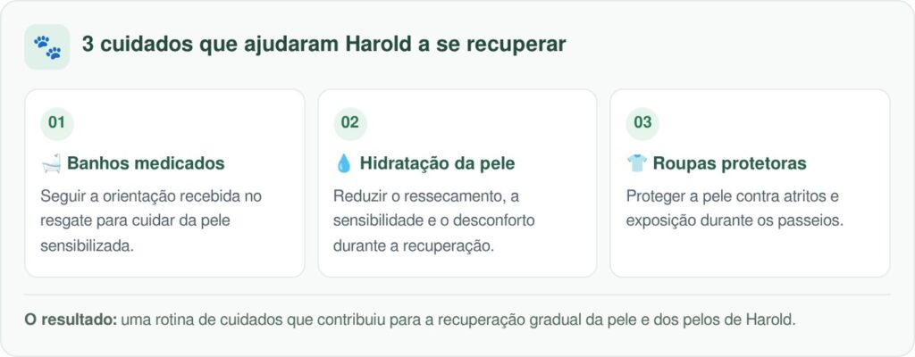 Buldogue francês de cor rosa chama atenção por onde passa e é confundido com um bebê humano sempre que sai de casa; aparência inusitada surpreende até desconhecidos