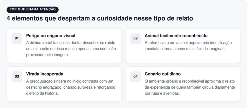 Motorista vê capivara sozinha na chuva e pensa em resgatá-la, mas percebe algo inesperado ao chegar mais perto