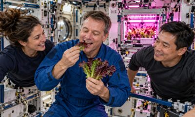 Em agosto de 2015, astronautas da Estação Espacial Internacional comeram pela primeira vez uma alface cultivada e colhida em órbita