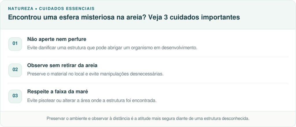 Parece apenas uma bolha transparente deixada pelo mar, mas o que pode estar crescendo dentro dela surpreende até os mais curiosos