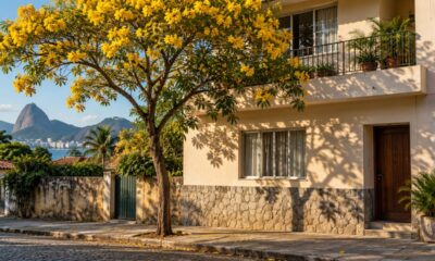 Árvores decíduas como o ipê dão sombra no verão e deixam o sol entrar no inverno