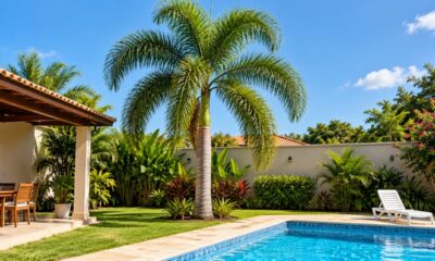 A rabo-de-raposa descarta sozinha as folhas mortas, o que facilita a limpeza da área da piscina