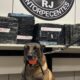 Cão farejador segura bola, coleira. Pacotes de drogas com códigos e logos "RJ Entorpecentes" e "GISE RJ" ao fundo