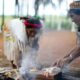 Duas mulheres indígenas manuseiam alimentos em fogo aberto com fumaça, árvores desfocadas no fundo