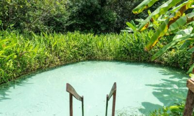 Piscina natural com água azul-turquesa, cercada por vegetação exuberante, e escada de madeira.
