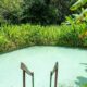 Piscina natural com água azul-turquesa, cercada por vegetação exuberante, e escada de madeira.