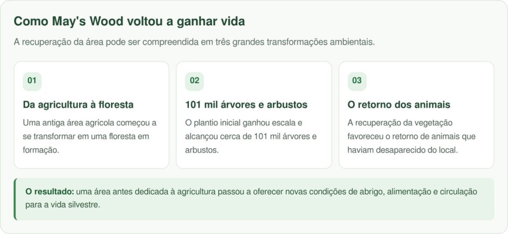 Em 2013, Brian May, do Queen, plantou um carvalho numa fazenda abandonada; dez anos depois, 100 mil árvores trouxeram de volta animais que tinham sumido da região