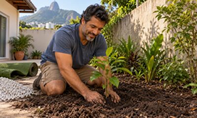 Plantas nativas e solo vivo substituem a grama sintética e as pedrinhas brancas no paisagismo atual