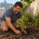 Plantas nativas e solo vivo substituem a grama sintética e as pedrinhas brancas no paisagismo atual