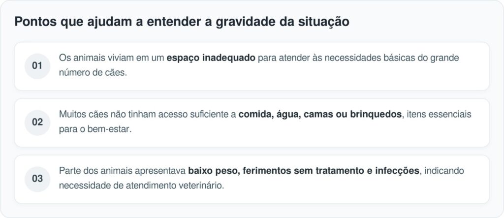 Equipes de resgate chegam para uma simples verificação de bem-estar e encontram 84 spaniels enfileirados no local, todos esperando por ajuda