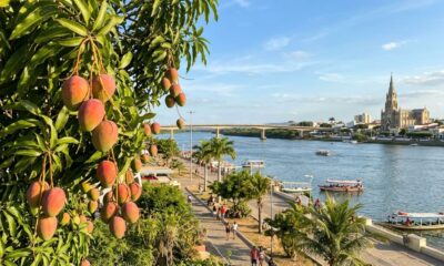 A "Capital da Manga" exporta 91% da fruta brasileira e transformou a Caatinga em um dos maiores pomares do país