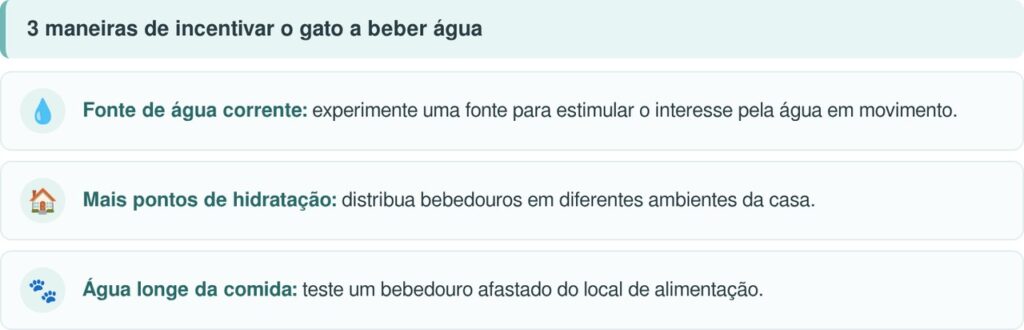 Veterinários explicam: se o gato derruba a água do pote antes de beber, pode não ser apenas brincadeira, mas uma preferência pela forma como a água é oferecida, e trocar o recipiente pode ajudar