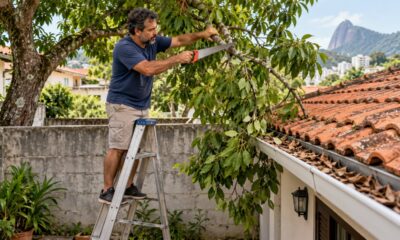 O Código Civil permite cortar os galhos que passam da divisa e invadem o telhado, sem pedir autorização ao vizinho
