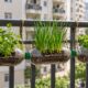 Garrafas PET com abertura lateral, terra e mudas viram uma horta vertical de temperos presa à grade da varanda