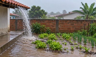 O Código Civil proíbe que o telhado lance água da chuva diretamente sobre o terreno do vizinho