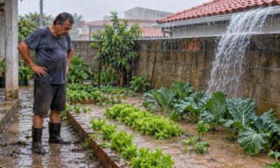 Telhado novo com caimento virado para o vizinho que alaga horta gera dever de corrigir o desvio da água
