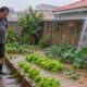Telhado novo com caimento virado para o vizinho que alaga horta gera dever de corrigir o desvio da água