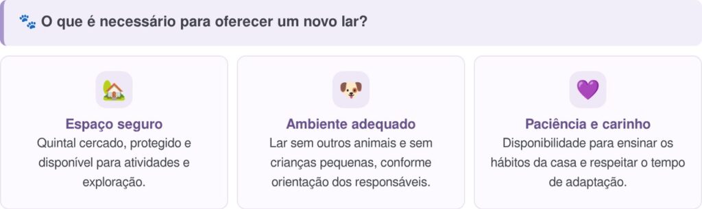 Cão passou a vida inteira preso na escuridão, sem conhecer a luz do sol, mas tudo mudou quando foi resgatado e descobriu pela primeira vez como é viver sem medo