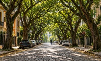 A Rua Gonçalo de Carvalho, em Porto Alegre, tem copas de tipuanas que se encontram e formam um túnel verde sobre os paralelepípedos