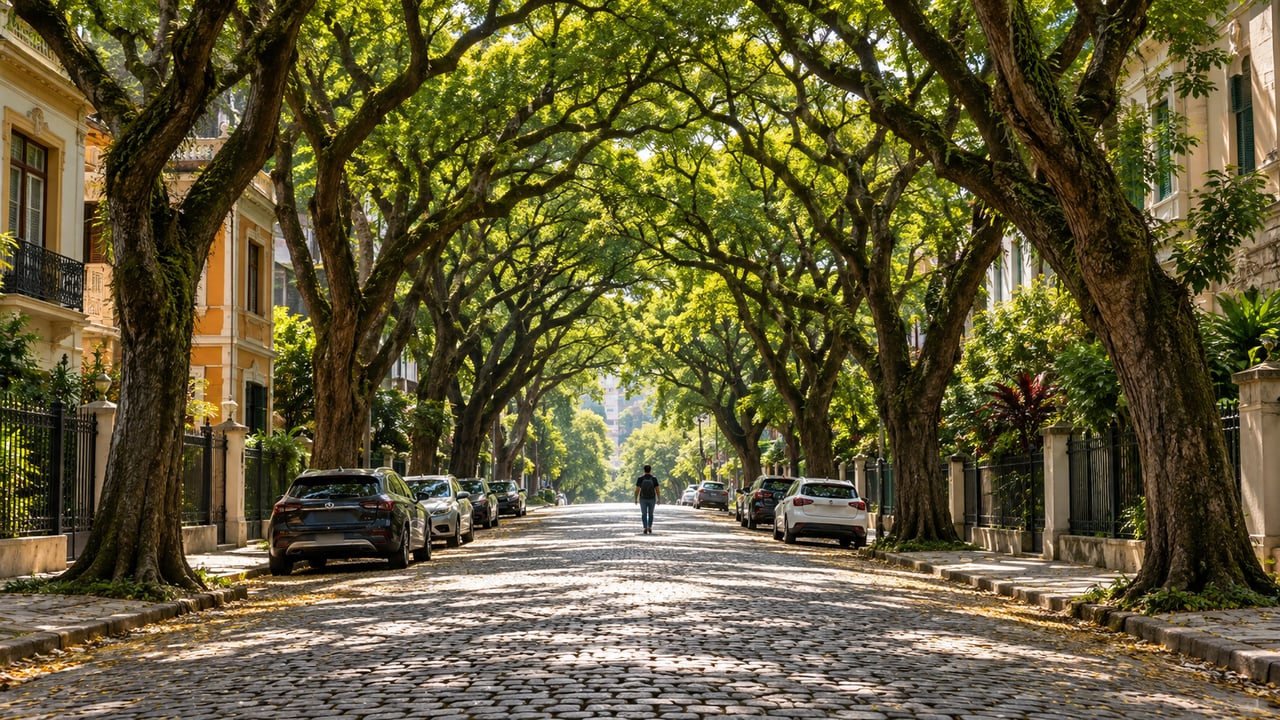 A Rua Gonçalo de Carvalho, em Porto Alegre, tem copas de tipuanas que se encontram e formam um túnel verde sobre os paralelepípedos
