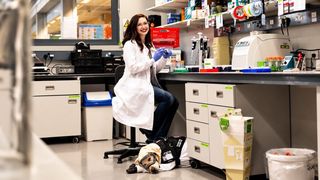Pesquisadora de jaleco branco e luvas azuis sorri enquanto trabalha em um laboratório equipado, acompanhada por um cão de serviço Labrador de pelagem clara, deitado no chão e usando colete de identificação. - Imagem ilustrativa criada por inteligência artificial