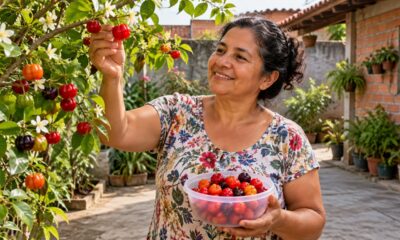 Pitanga, uvaia e grumixama são frutas nativas fáceis de achar no quintal na primavera e raras nas feiras