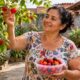 Pitanga, uvaia e grumixama são frutas nativas fáceis de achar no quintal na primavera e raras nas feiras