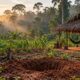 O último sobrevivente do povo Tanaru viveu 26 anos isolado na floresta de Rondônia, sem aceitar contato