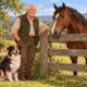 O provérbio alemão mede a vida com coisas do quintal: cerca, cachorro, cavalo e homem