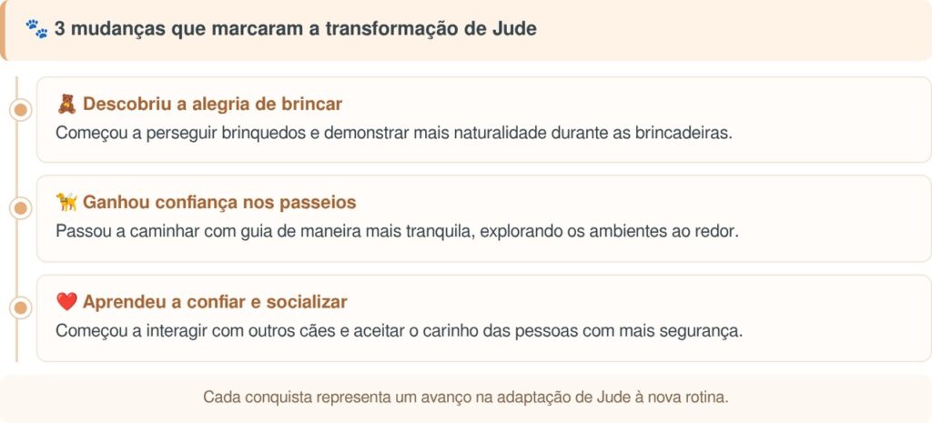Cão passou a vida inteira preso na escuridão, sem conhecer a luz do sol, mas tudo mudou quando foi resgatado e descobriu pela primeira vez como é viver sem medo