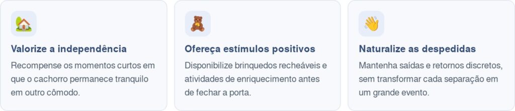 Veterinário explica: o cachorro que acompanha o tutor até o banheiro pode não estar apenas querendo companhia, mas seguindo um hábito ligado à proximidade e à rotina