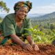 Wangari Maathai liderou o plantio de mais de 30 milhões de árvores no Quênia e ganhou o Nobel da Paz em 2004