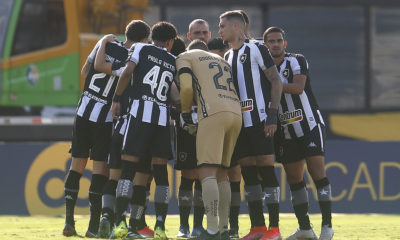 Elenco do Botafogo reunido no gramado