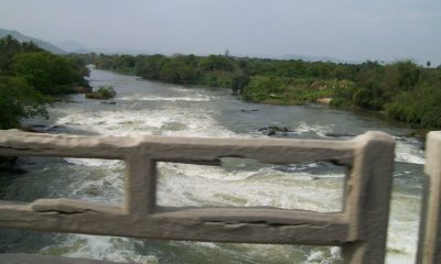 Ponte Rio Guandu