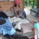 Rico, Aline Mineiro e Dayane Mello na casa da árvore em "A Fazenda 13"