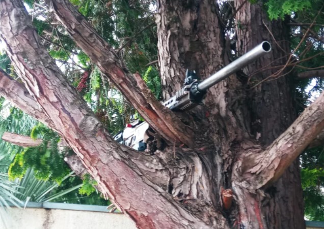 Arma é encontrada em árvore após ataque a empresa de valores no Rio Grande do Sul