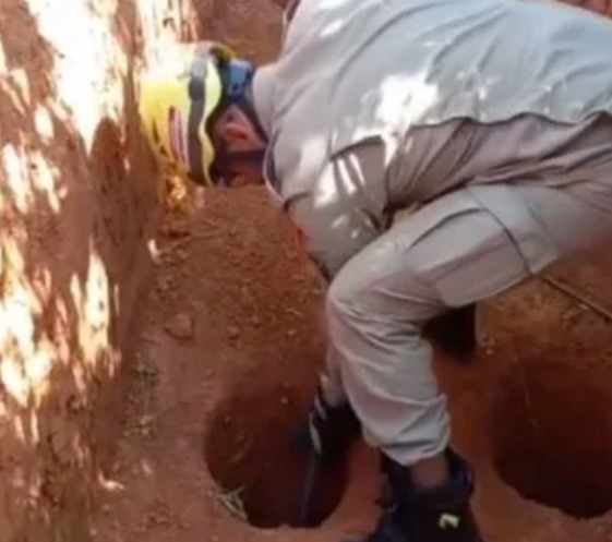 Bombeiros resgata cachorro