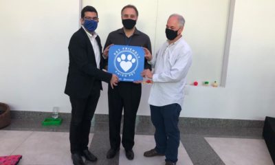 Imagem do cemitério para pets