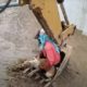 Cachorro é resgatado por escavadeira no Equador
