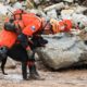 cão do Corpo de Bombeiros em ação de resgate