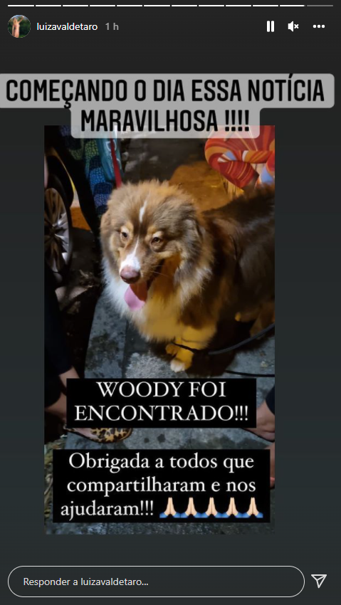 Criminosos roubam carro e levam cachorro junto na Zona Sul do Rio