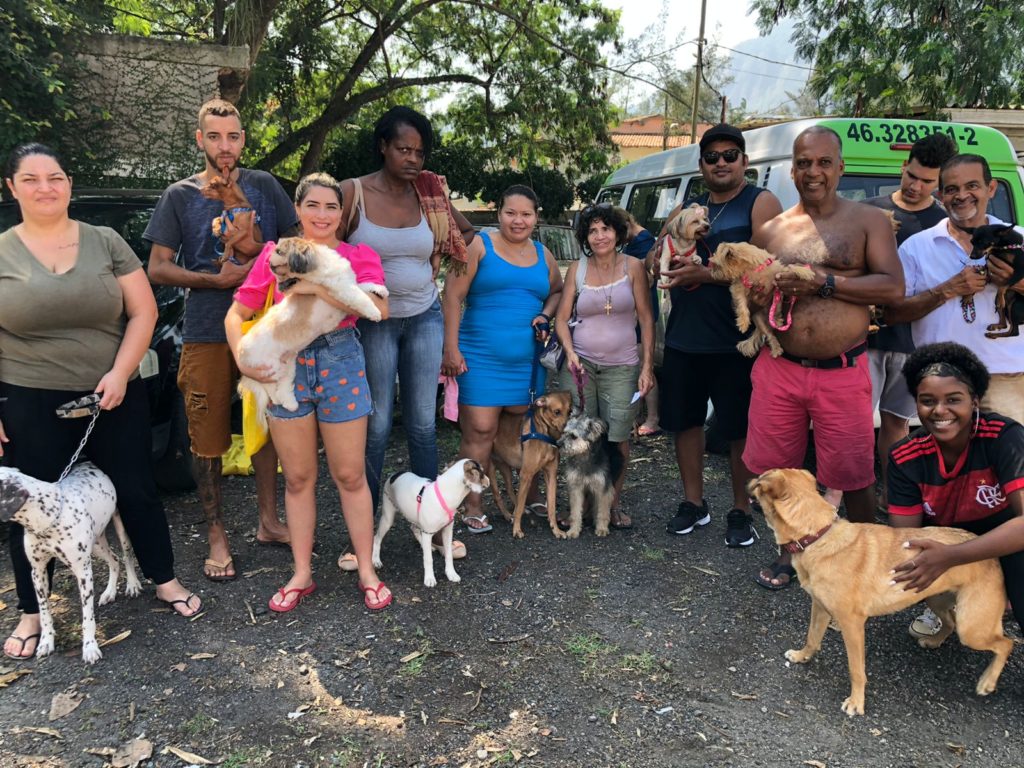 Imagem dos animais castrados na Muzema