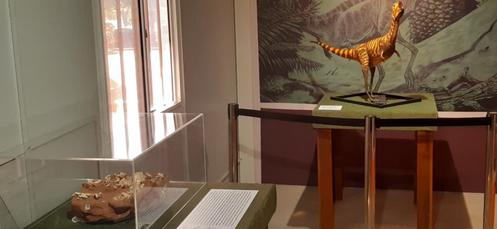 Imagem do Dinossauro na exposição