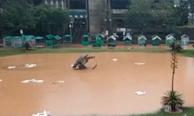 Cruzes boiando em Petrópolis