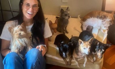 Demi Moore e seus nove cães