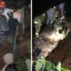 Deslizamento de terra deixa três mortos em Embu das Artes, SP