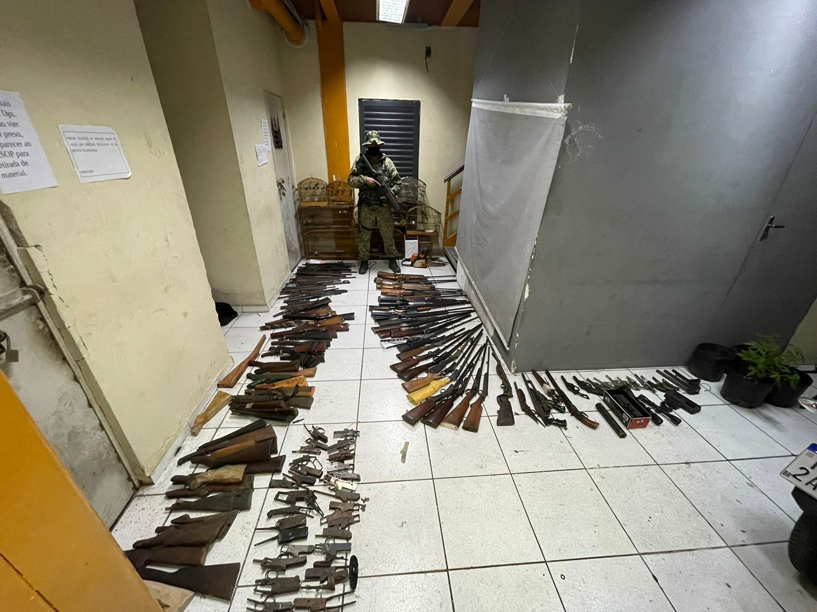 Imagem de armas apreendidas em Itaguaí