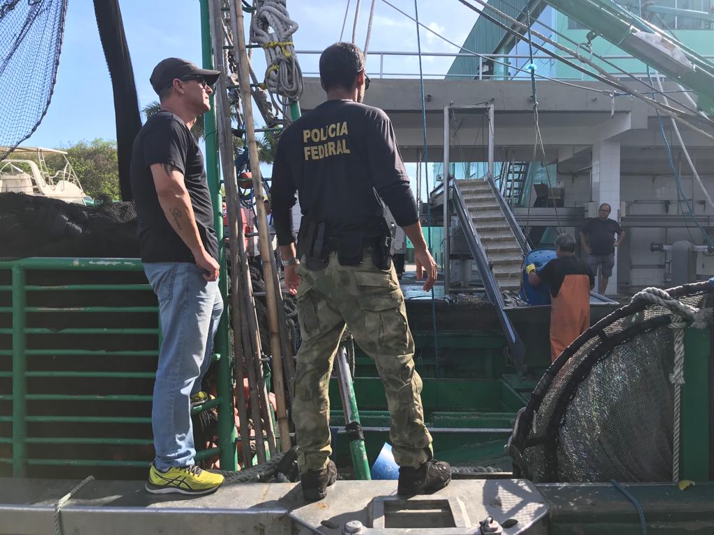 Imagem da apreensão da Polícia Federal