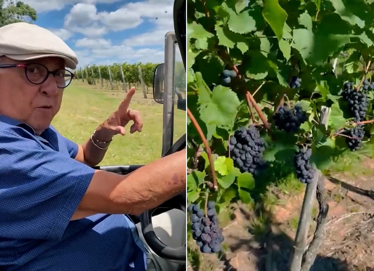 Galvão Bueno mostrando sua vinícola no Sul